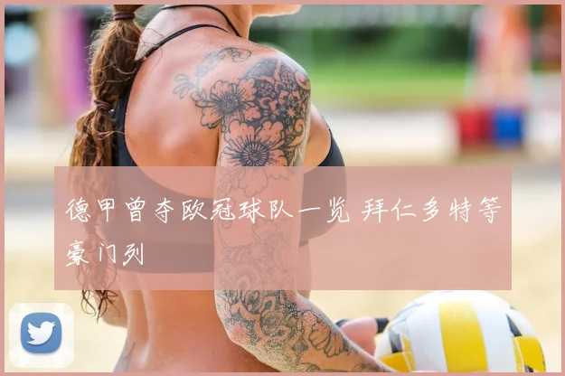 德甲曾夺欧冠球队一览 拜仁多特等豪门列