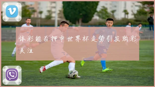 体彩能否押中世界杯走势引发购彩关注