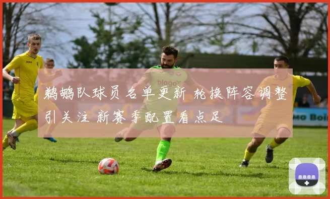 鹈鹕队球员名单更新 轮换阵容调整引关注 新赛季配置看点足