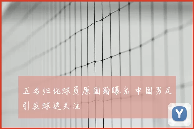 五名归化球员原国籍曝光 中国男足引发球迷关注