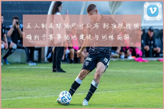 五人制足球场尺寸公布 标准规格明确利于赛事场地建设与训练安排