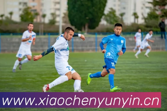 韦德官方站网页版 - 韦德(中国)发展历程